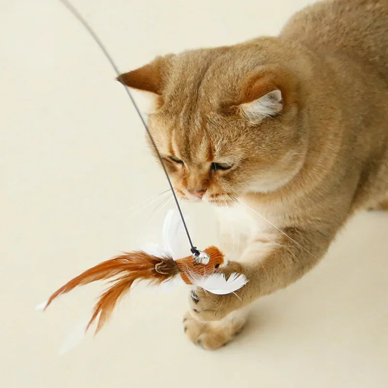 Interactive Cat Toy Handfree Cat Stick Playing Kitten Playing Teaser Wand Toy Suction Cup Bird/Feather Cat Wand Pet Supplies