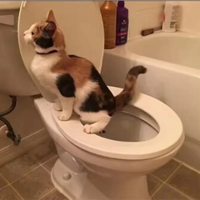 Cat Toilet Indoor Reusable Pet Litter Trainer Potty Cats Supplies Tray Professional Kit Kitty Toilets Cat System Training Toilet