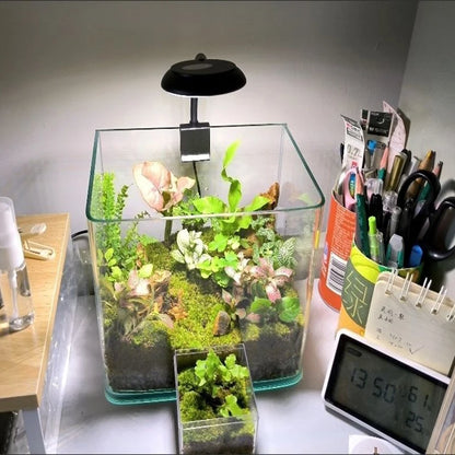 Fish tank USB small clip light mini LED lighting high brightness aquarium water grass light supplementary light transparent clip
