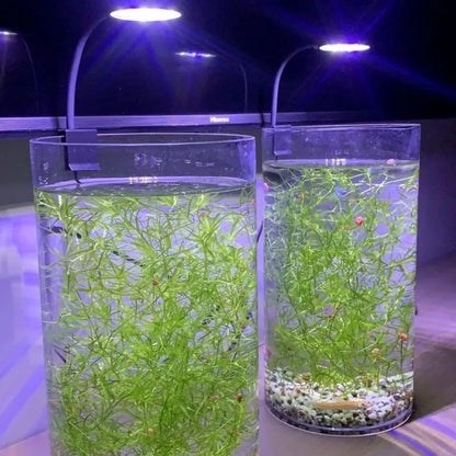 Fish tank USB small clip light mini LED lighting high brightness aquarium water grass light supplementary light transparent clip